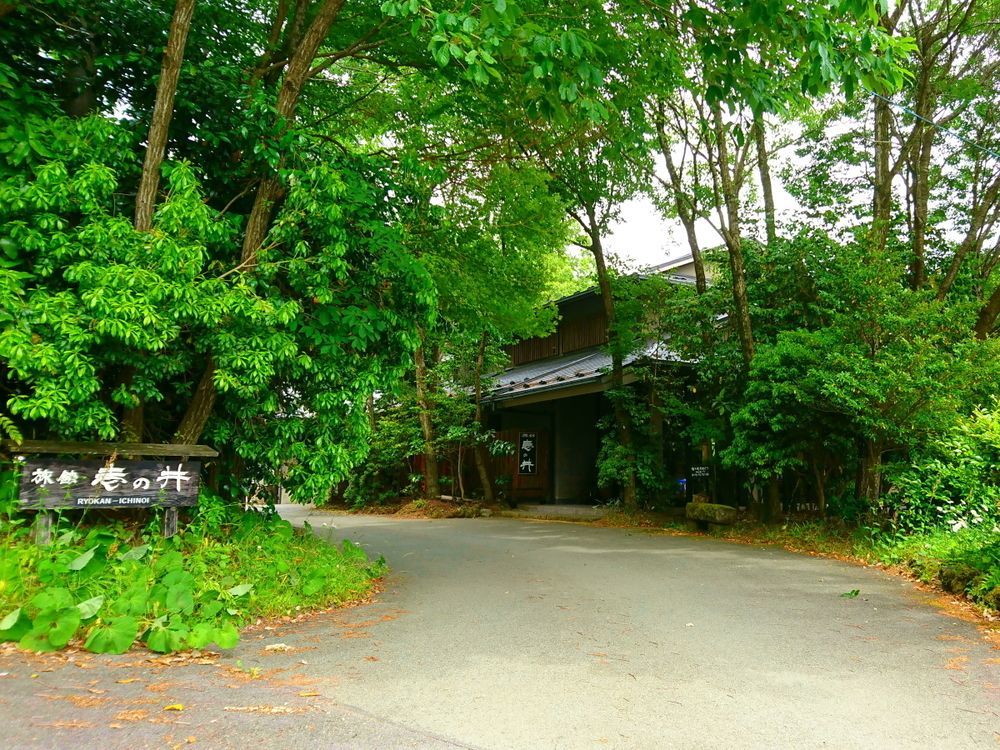 Kurokawa Onsen Ryokan Ichinoi Minamioguni Exterior photo